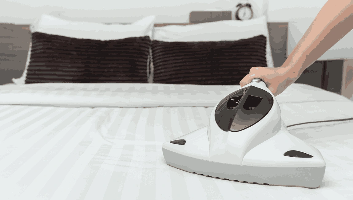 Professional Mattress Cleaning Queenscliff